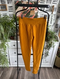 Image 1 of NWT Honey textured tights 