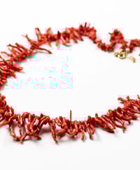 Image 2 of Corallo sardonico