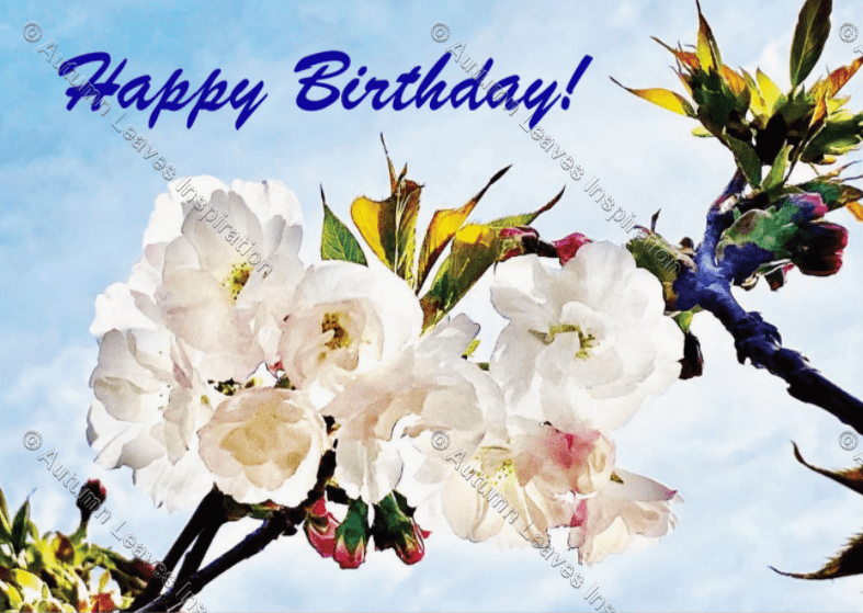 C20 Happy Birthday Blossoms Autumn Leaves Inspiration