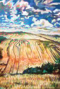 Image 1 of Wild Grasses and Poppies