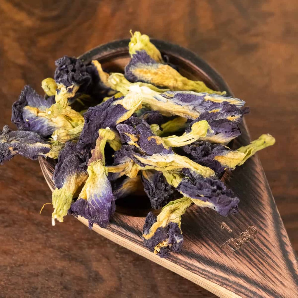 Image of Butterfly Pea
