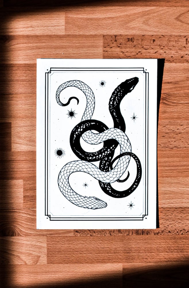 Image of Black and White Snakes /// Original Drawing 