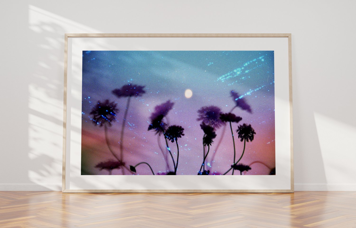 Image of Scabiosa, Kosmos & the Moon.