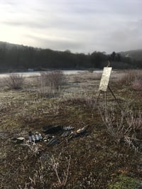 Image 3 of Pristine Morning Frost