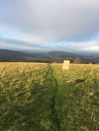 Image 4 of Nature’s Way