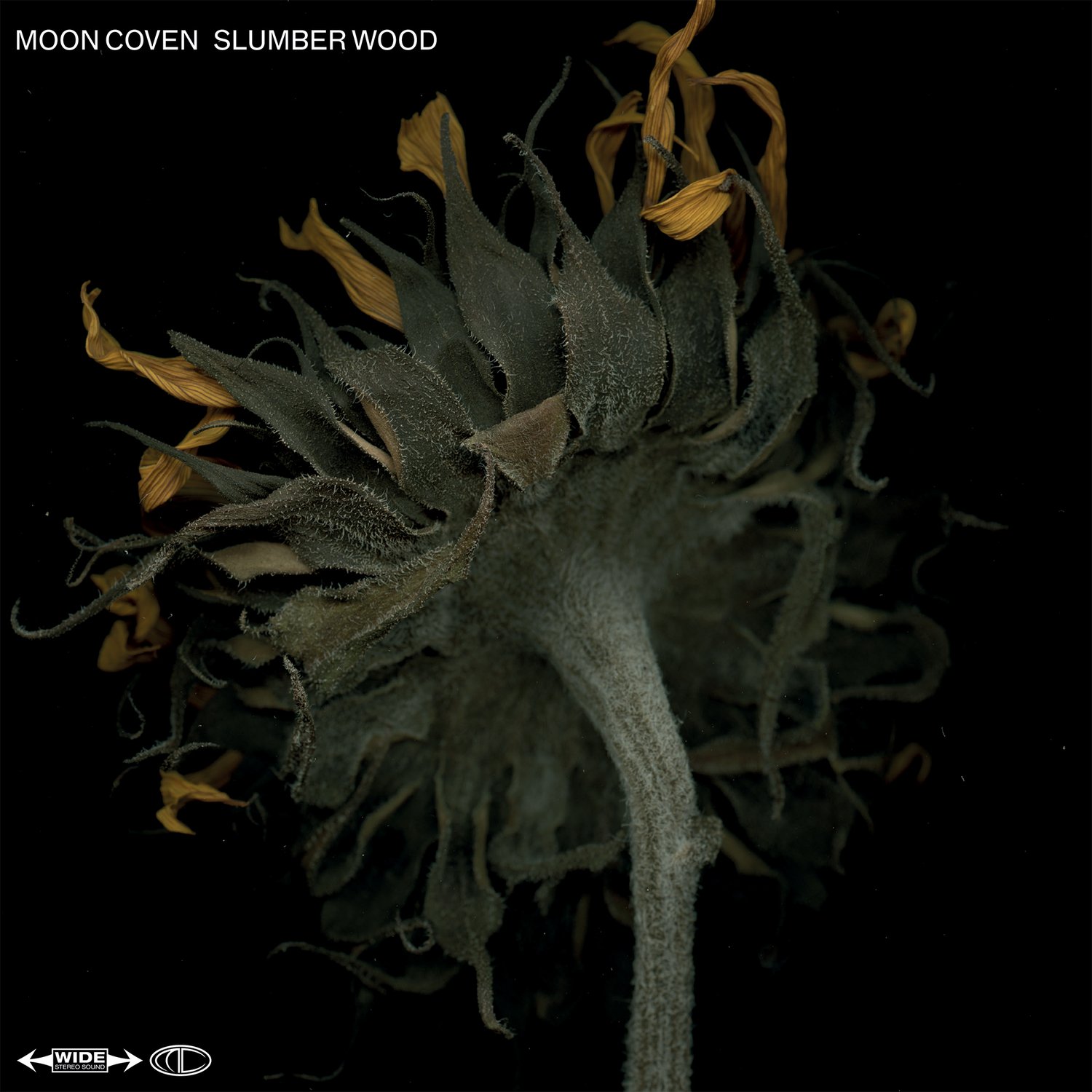 Image of Moon Coven - Slumber Wood Limited Digipak CD