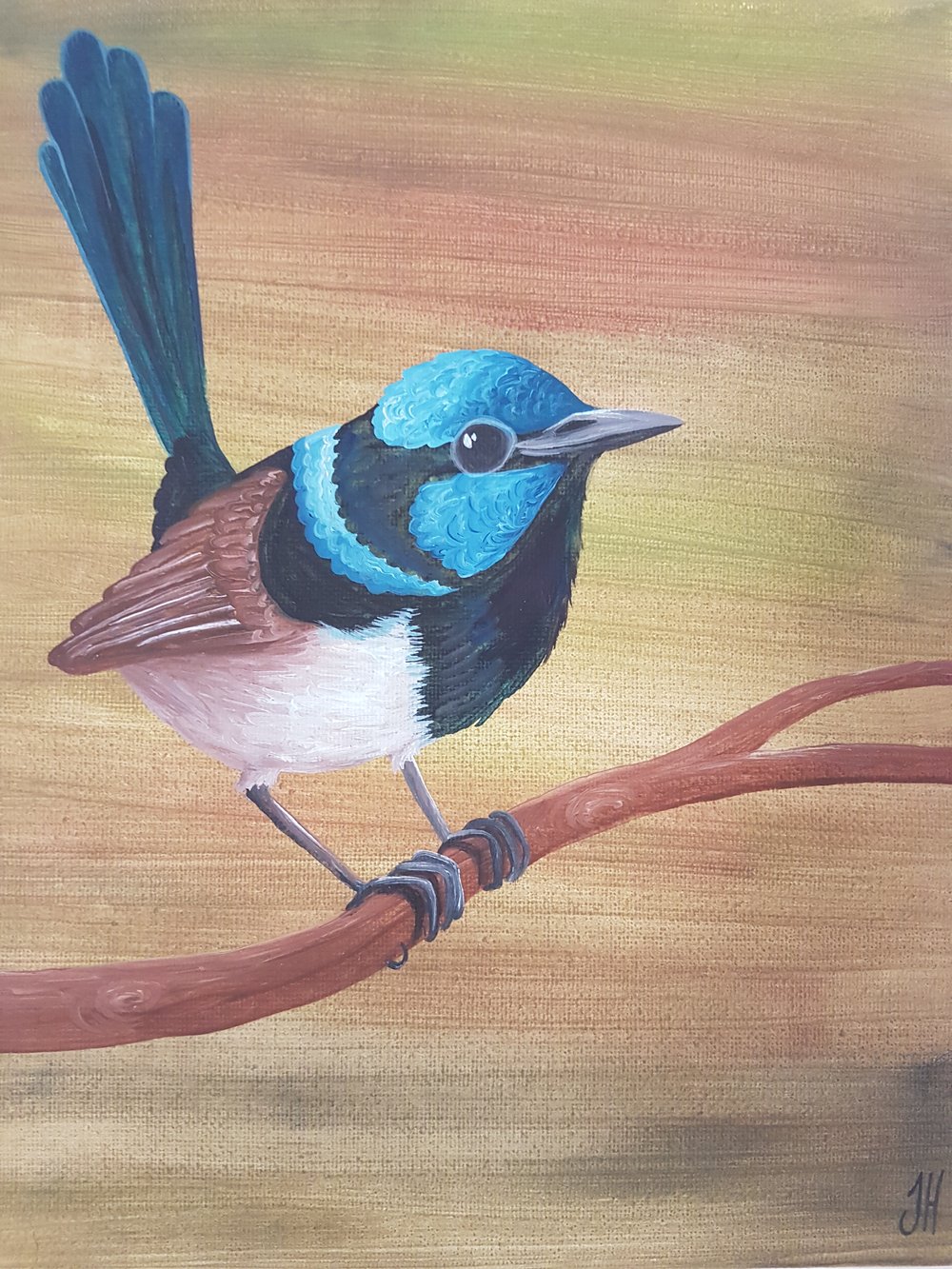 Fairywren Original Painting