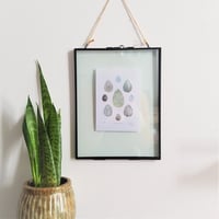 Image 1 of Seabird Egg Mini Print Selection