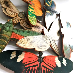 Image of Large Insect Wooden Brooch Pin - Assorted