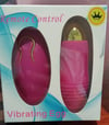 Remote Control Egg Vibrator 