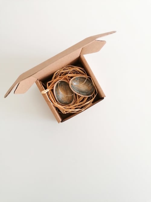 Image of Eggshell Earrings in Golden and Gray