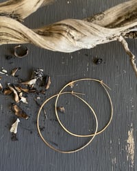 Image 1 of Breezy hoops BHE-105