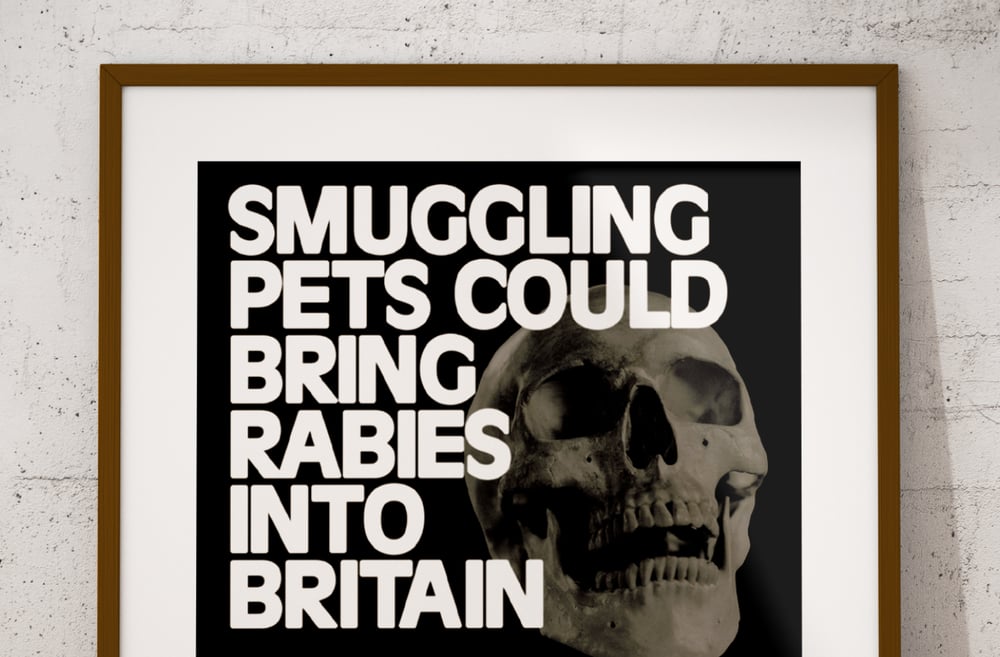 'Rabies' Public Information Print