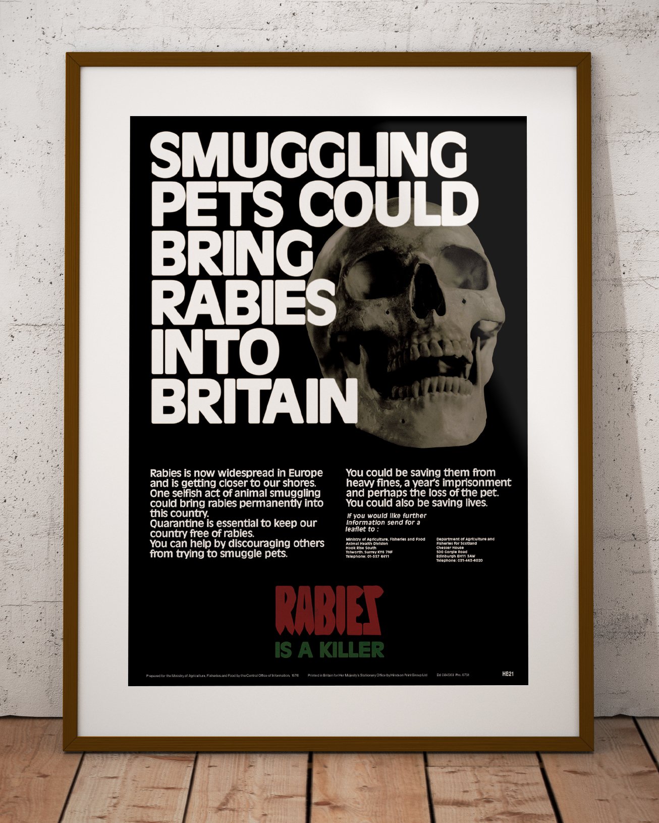 'Rabies' Public Information Print | Hidden Britain