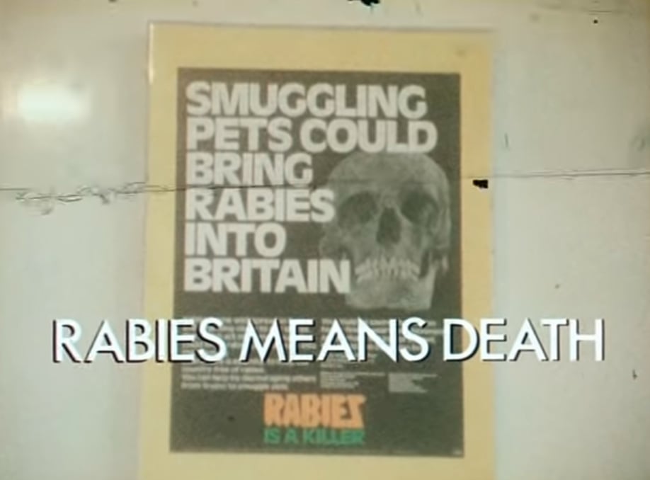 'Rabies' Public Information Print