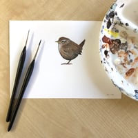 Image 5 of Jenny Wren ~ Removable Wall sticker