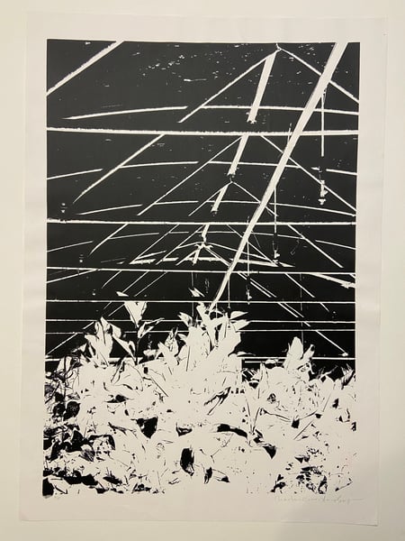 Image of Astro polytunnel (2016) by Charlie Evaristo-Boyce