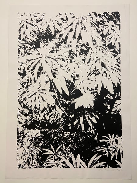 Image of Leaf print (2016) by Charlie Evaristo-Boyce