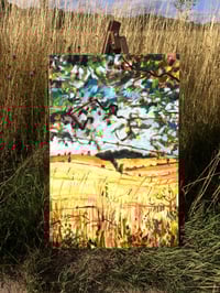 Image 2 of Golden Pastures