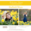 Daffodil Minis