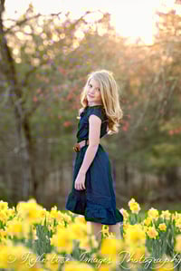 Image 2 of Daffodil Minis