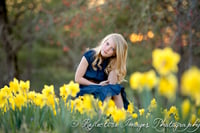 Image 5 of Daffodil Minis
