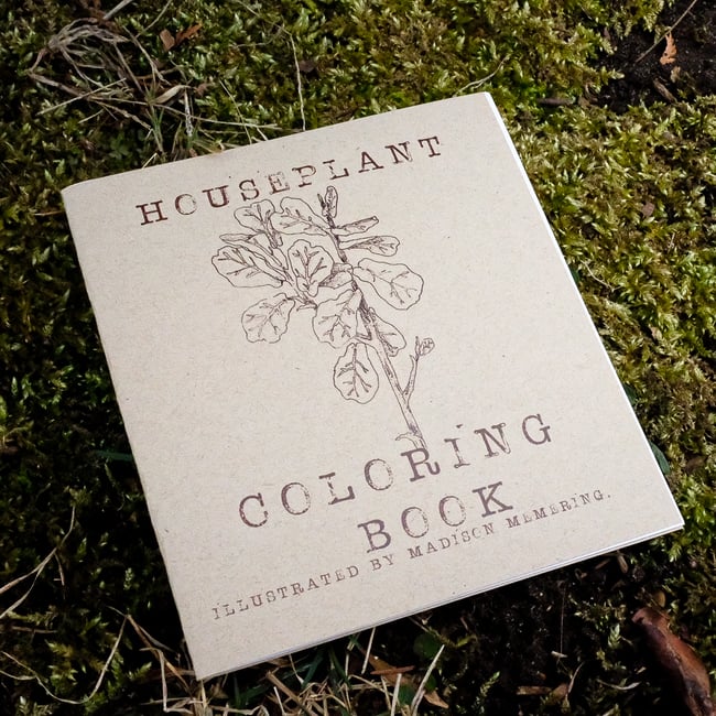 houseplant coloring book | Madison Memering