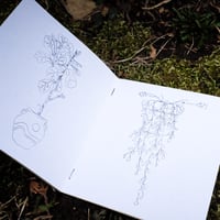 Image 2 of houseplant coloring book