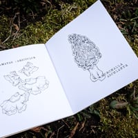 Image 2 of mushroom coloring book