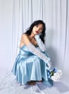 Cinderella Dress