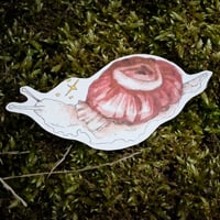 magic snail