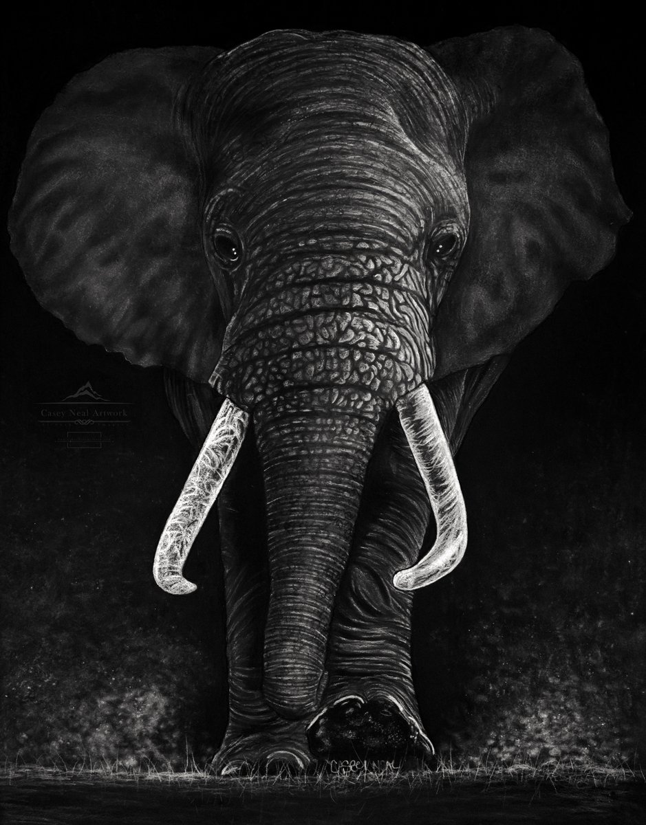 Elephant Casey Neal Artwork Elephant Casey Neal Artwork