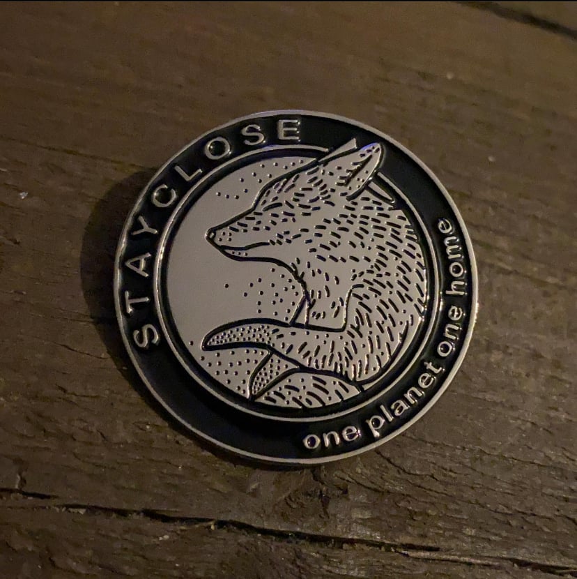 Image of Fox pin