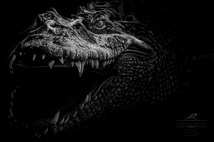 Image of Charcoal Crocodile