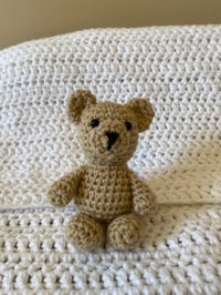 Classic Bear Buddie 