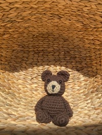 Brown Bear Buddie 