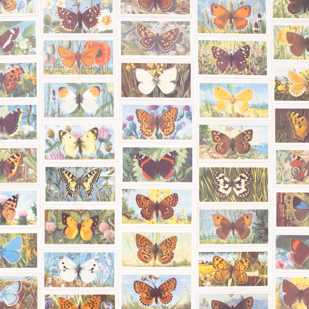 Image of British Butterflies Tea Cards - Complete Set