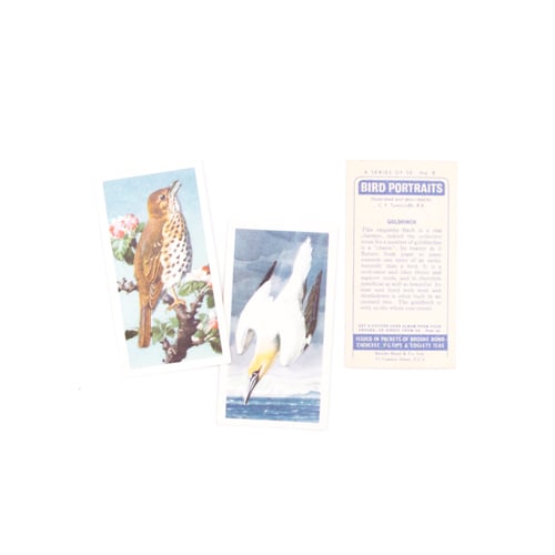 Image of Bird Portraits Tea Cards - Complete Set