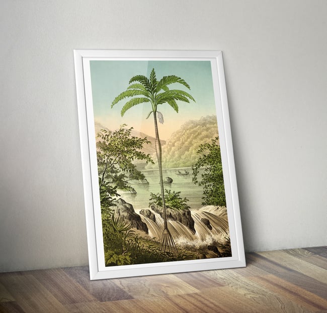 Iriartea Ventricosa | Retro Tropical Print | Palm tree Poster | Vintage Forest Landscape