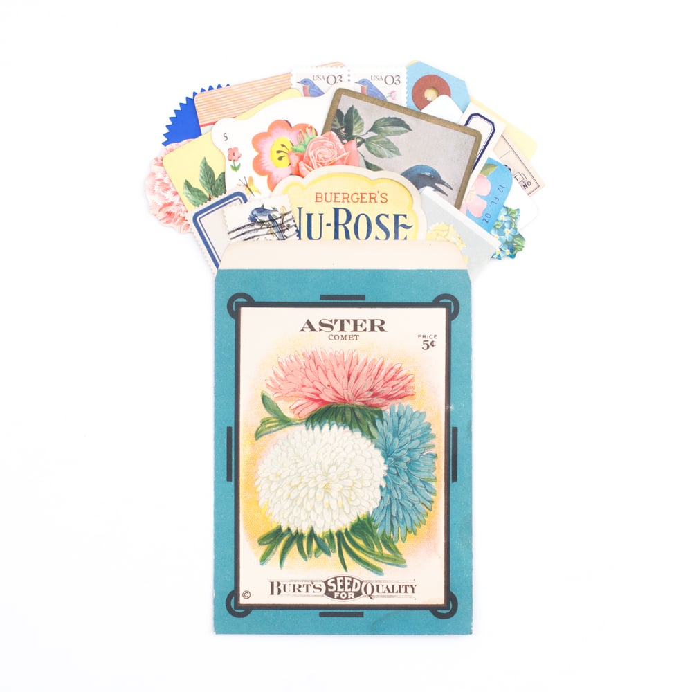 Image of Antique Seed Packet with Pink & Blue Ephemera