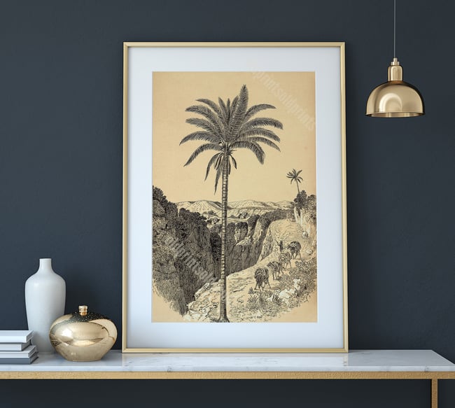 Acrocomia Sclerocarpa | Retro Tropical Print | Palm tree Poster | Vintage Forest Landscape
