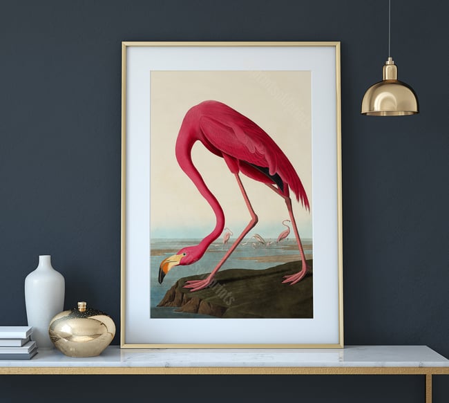 Pink Flamingo | John James Audubon  | Retro Tropical Print | Animal Kingdom Poster | Vintage Print