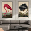 Pink Flamingo | John James Audubon  | Retro Tropical Print | Animal Kingdom Poster | Vintage Print