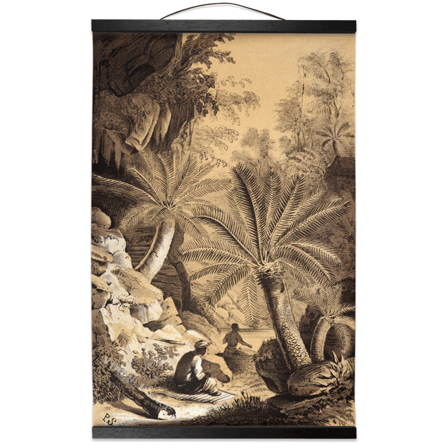 Dioon Edule | Retro Tropical Print | Palm tree Poster | Vintage Forest Landscape