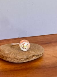 Image 6 of The Paw & the Moon 