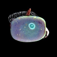 Image 2 of XL. Beau - Bay Horse - Flamework Glass Sculpture Bead