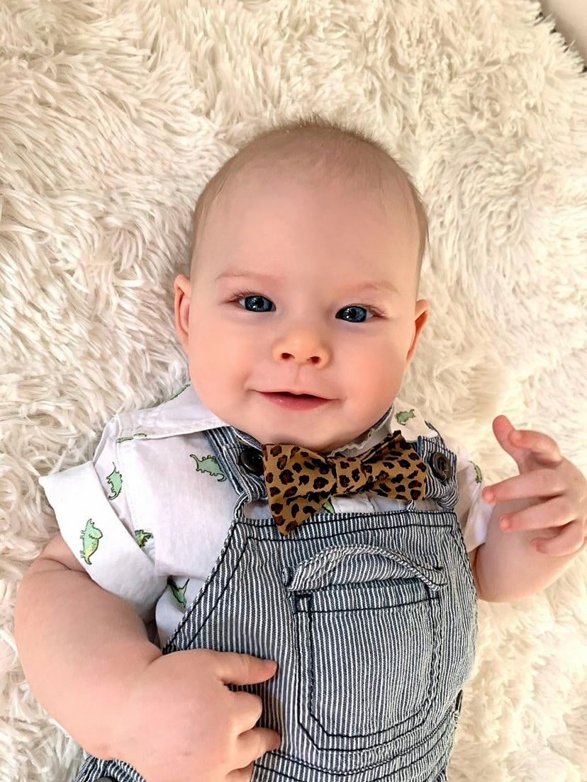 Image of Leopard bowtie