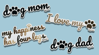 Image 1 of The Pack (All 4 Stickers)