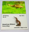 American Bittern - April 2021 - Enamel Pin Badge
