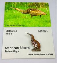 Image 1 of American Bittern - April 2021 - Enamel Pin Badge